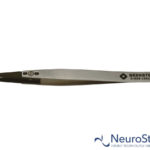 Bernstein 5-454 | NeuroStores by Neuro Technology Middle East Fze