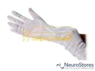 Warmbier 8745.P3 ESD Gloves Polyester | NeuroStores by Neuro Technology Middle East Fze