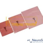 Warmbier permastat bags w-print | NeuroStores by Neuro Technology Middle East Fze