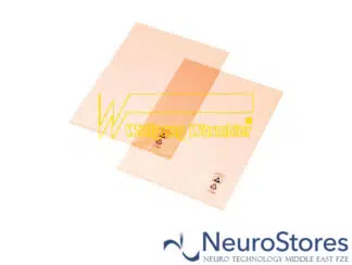 Warmbier 3115.321 | NeuroStores by Neuro Technology Middle East Fze