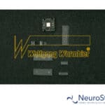 Warmbier 4550.03.1000 | NeuroStores by Neuro Technology Middle East Fze